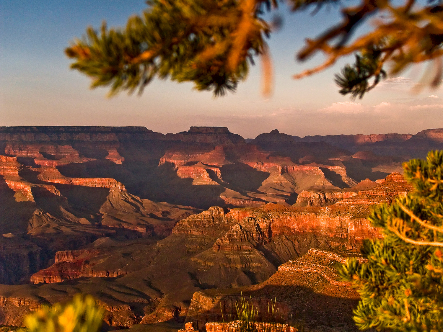 Canyon Dave Tours | Grand Canyon South Rim Tours see this view