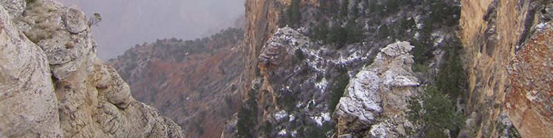 Canyon Dave Tours | Grand Canyon South Rim Tours see this view